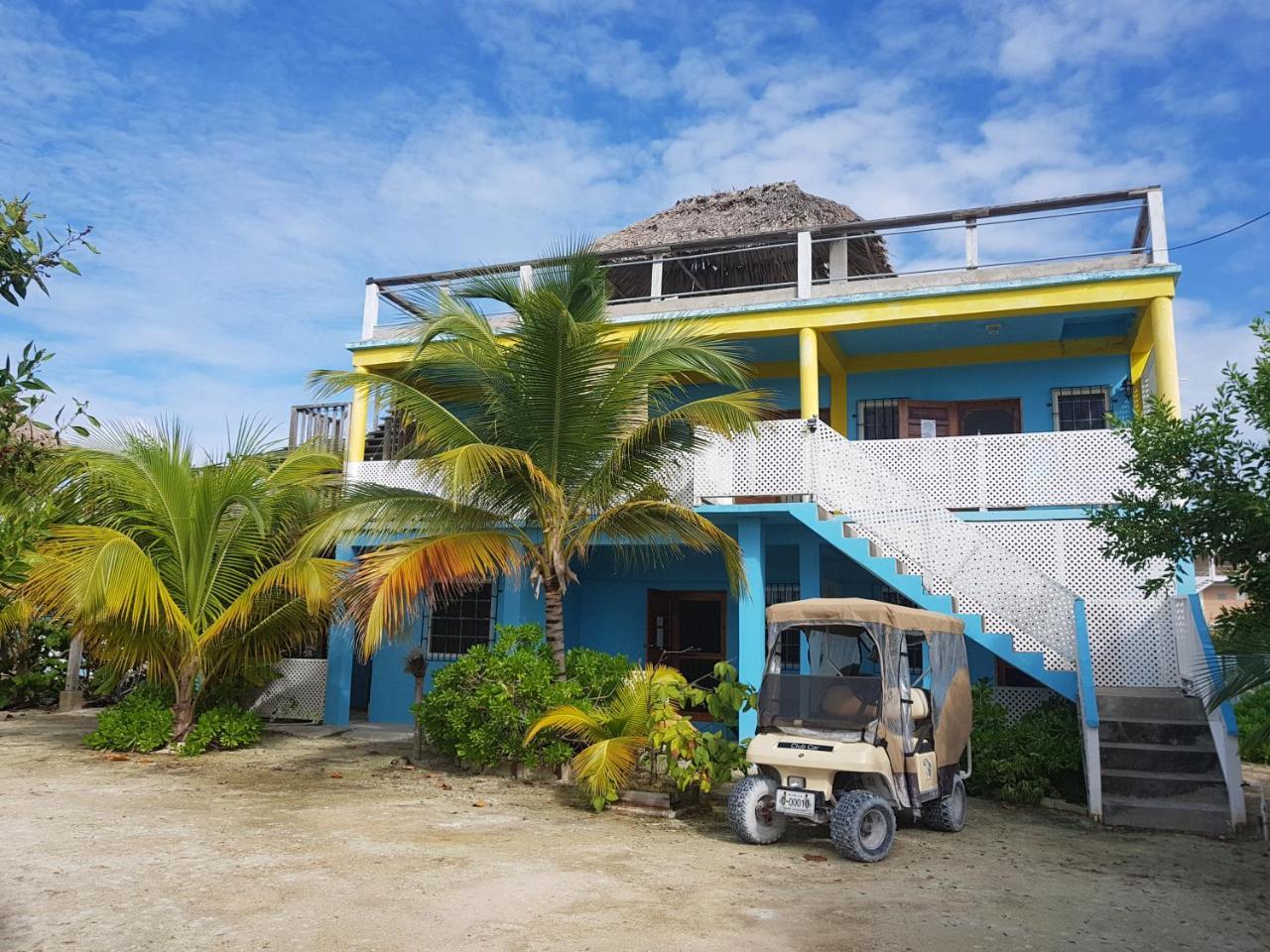 Trellis House Daire Caye Caulker Dış mekan fotoğraf