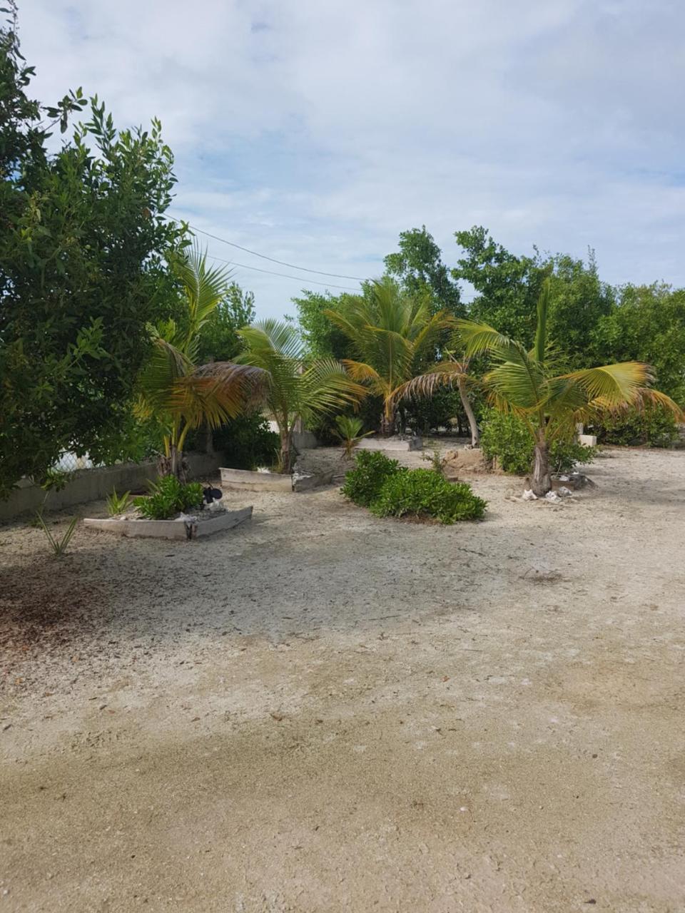 Trellis House Daire Caye Caulker Dış mekan fotoğraf