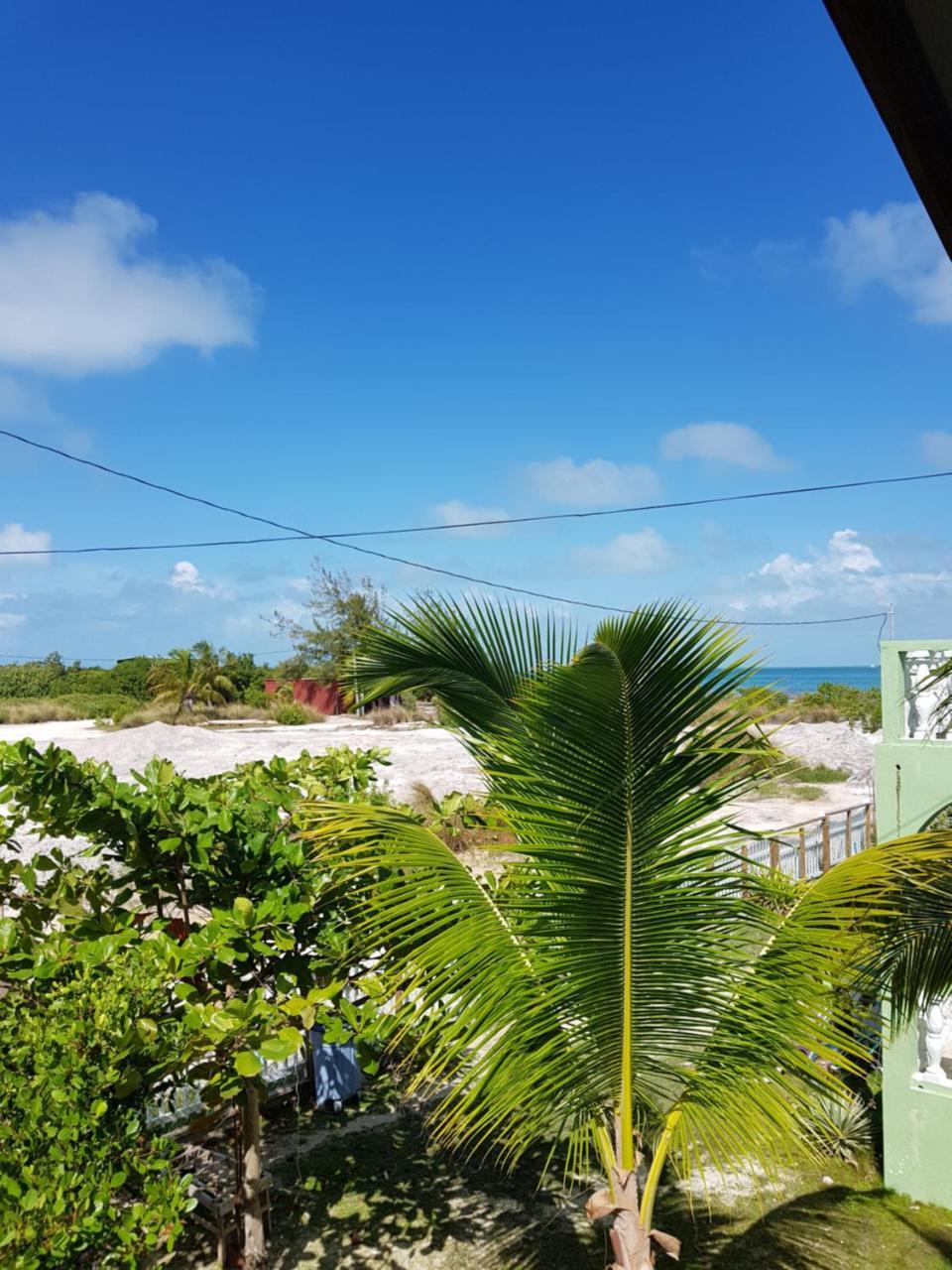 Trellis House Daire Caye Caulker Dış mekan fotoğraf